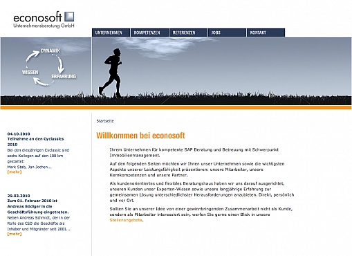 Econosoft homepage Screenshot 1