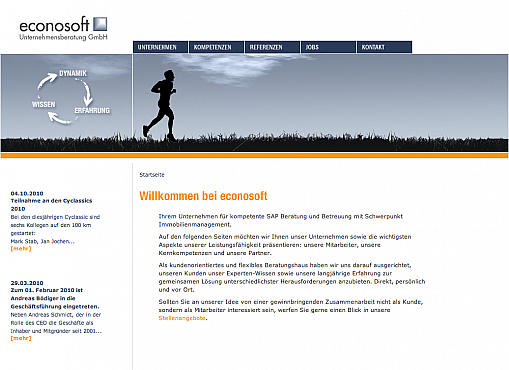 Econosoft Homepage Screenshot 1