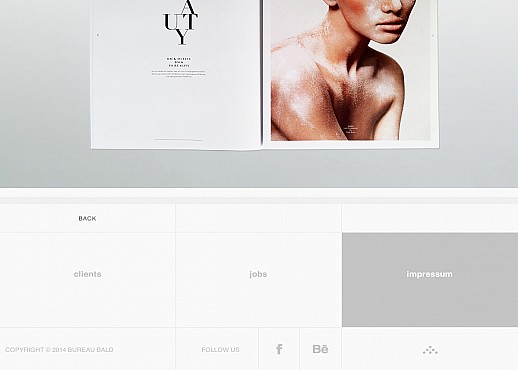 Bureau Bald responsive webpage Screenshot 3